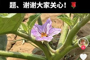 ?止颓！热刺结束联赛5轮不胜，此前5场1平4负仅拿1分